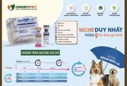 VACCINE 9 TRONG 1