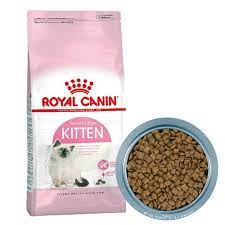 Hạt ROYAL CANINE kitten 2kg